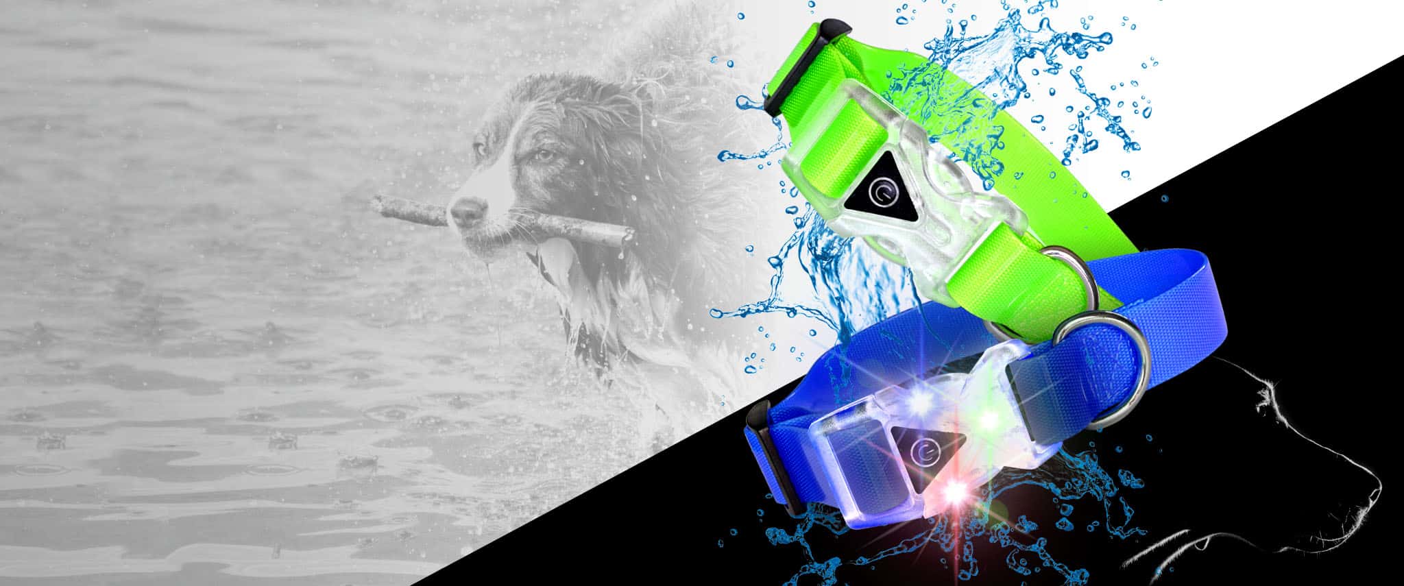 light-up-waterproof-dog-collars