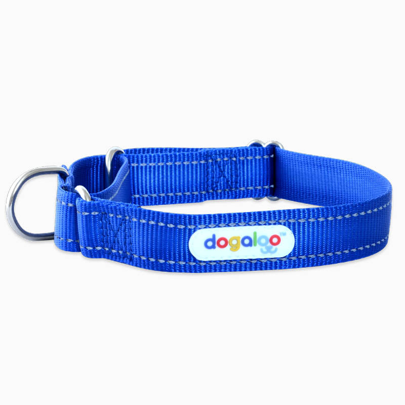 martingale-collar-au