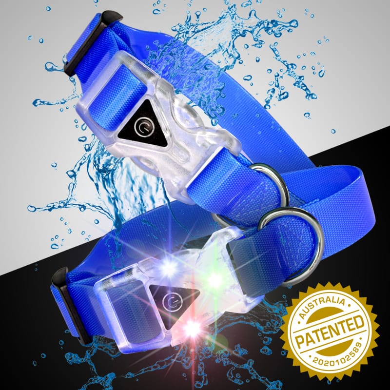 light-up-waterproof-dog-collars-australia