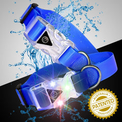 water-resistant-pet-collars-AU