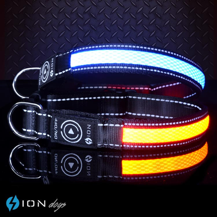 dog-lights-for-at-night-australia
