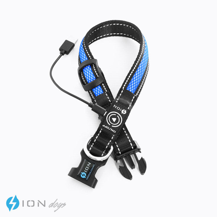 led-lights-for-dog-collars