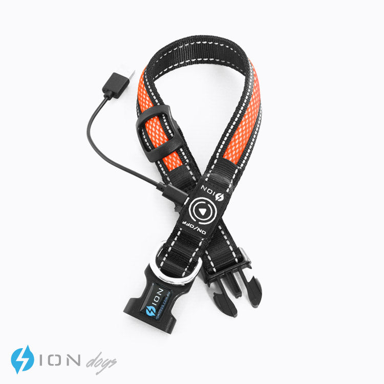illuminated-dog-light-collar