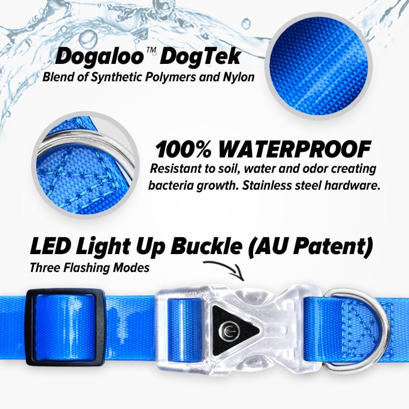 no-stink-pet-collar
