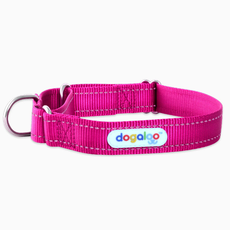 sighthound-whippet-collars